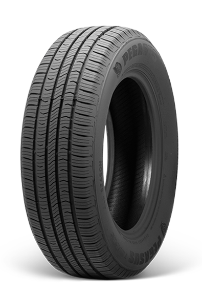 Pegasus Tour AS Tire 225 65 16 100H R16